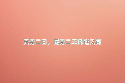天无二日，民无二王的近义词