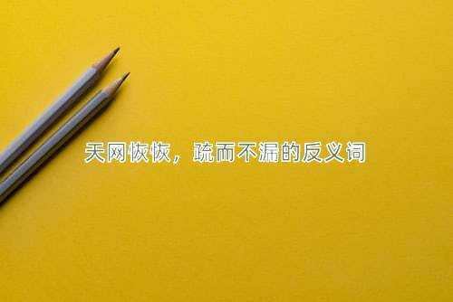 天网恢恢，疏而不漏的反义词