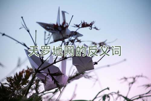 天罗地网的反义词