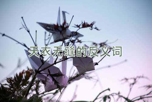 天衣无缝的反义词