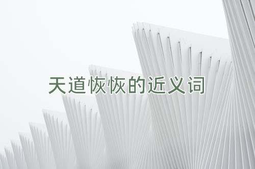天道恢恢的近义词