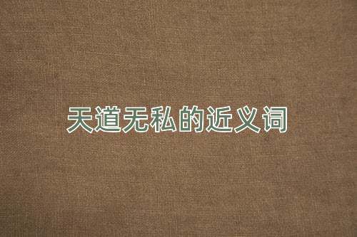 天道无私的近义词