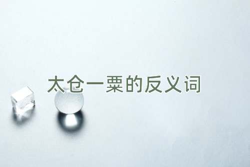 太仓一粟的反义词