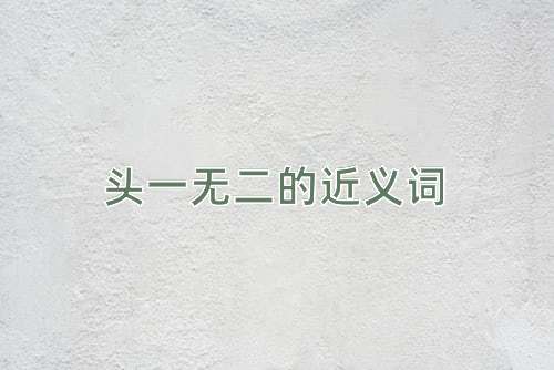 头一无二的近义词