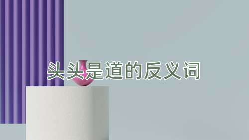 头头是道的反义词