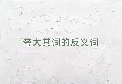 夸大其词的反义词