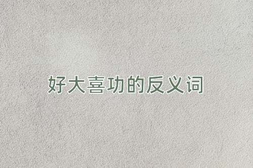 好大喜功的反义词