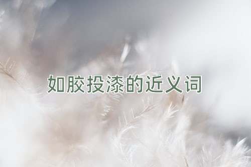 如胶投漆的近义词