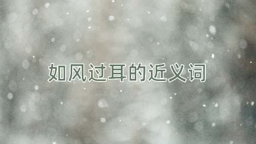 如风过耳的近义词
