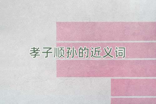 孝子顺孙的近义词