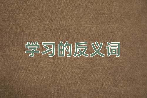 学习的反义词