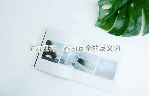 宁为玉碎，不为瓦全的反义词
