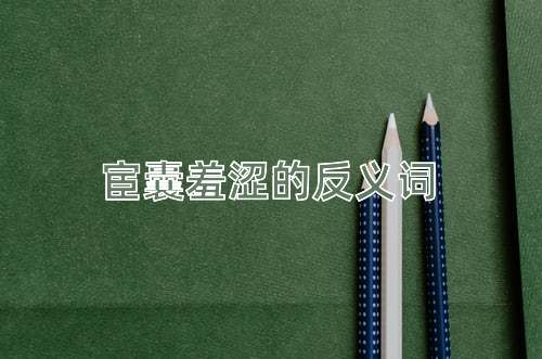 宦囊羞涩的反义词