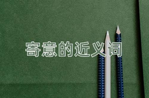 寄意的近义词