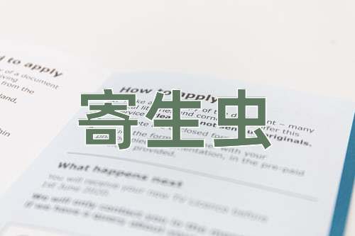 成语寄生虫