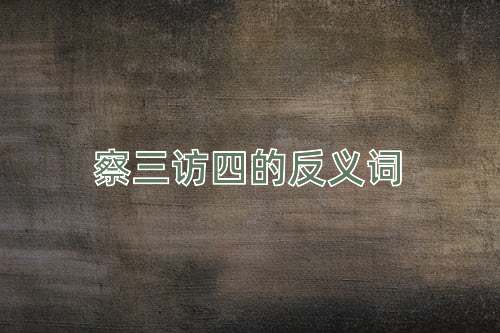 察三访四的反义词