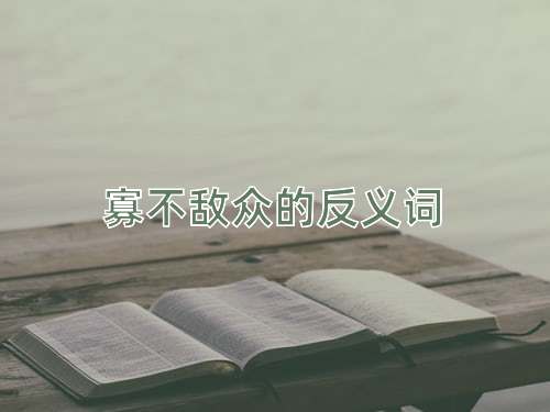 寡不敌众的反义词