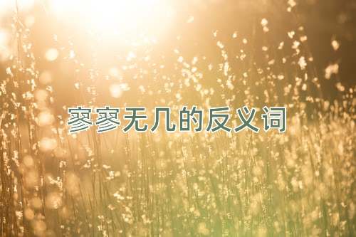 寥寥无几的反义词