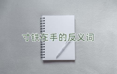 寸铁在手的反义词