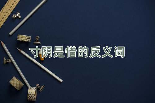 寸阴是惜的反义词