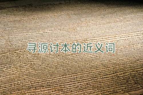 寻源讨本的近义词