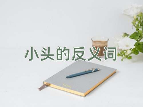 小头的反义词
