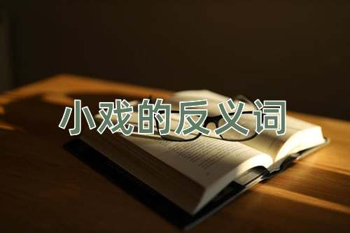 小戏的反义词