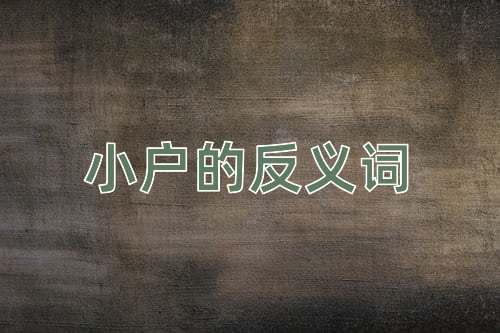 小户的反义词