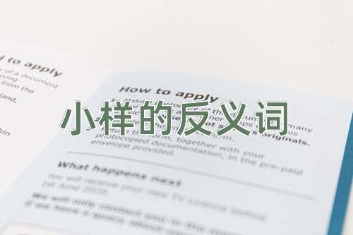 小样的反义词