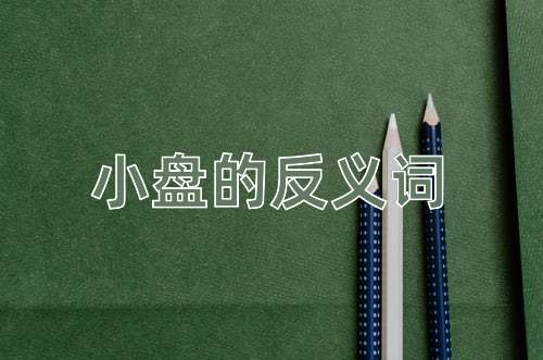 小盘的反义词