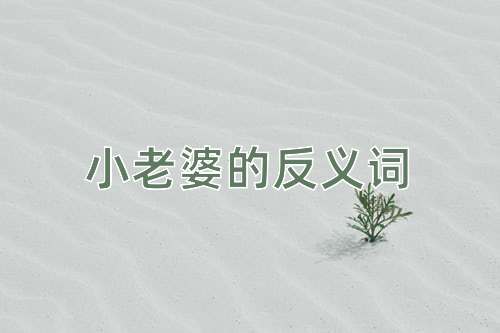 小老婆的反义词