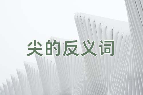 尖的反义词