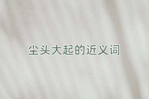 尘头大起的近义词