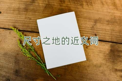 尺寸之地的近义词