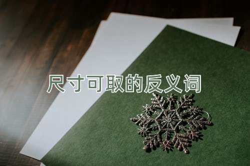 尺寸可取的反义词