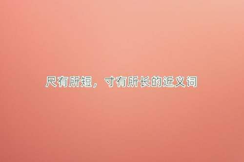 尺有所短，寸有所长的近义词