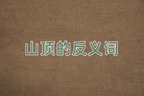 山顶的反义词