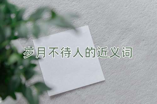 岁月不待人的近义词