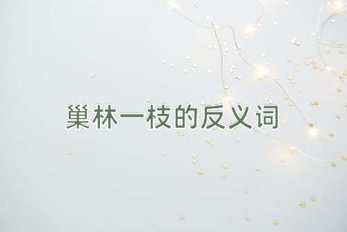 巢林一枝的反义词