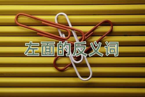 左面的反义词