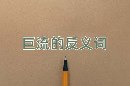 巨流的反义词