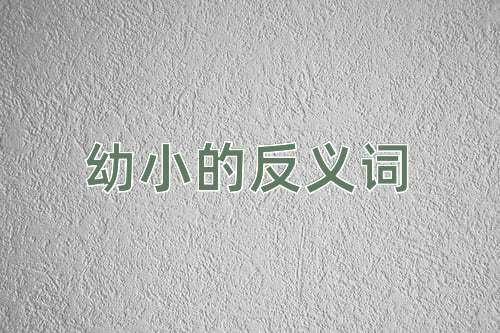 幼小的反义词
