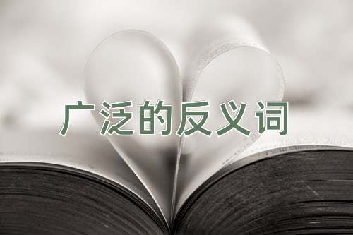 广泛的反义词