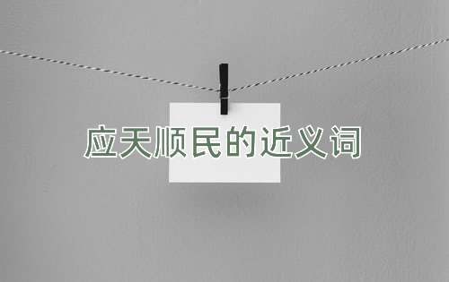 应天顺民的近义词