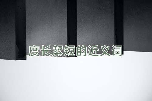 度长絜短的近义词