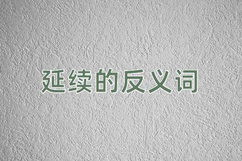 延续的反义词