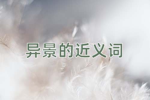 异景的近义词