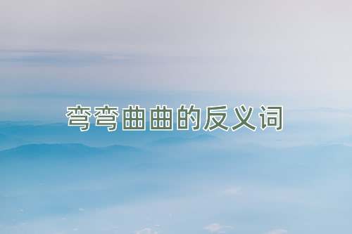 弯弯曲曲的反义词