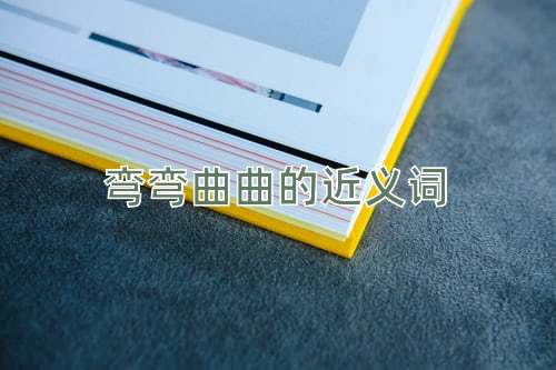 弯弯曲曲的近义词
