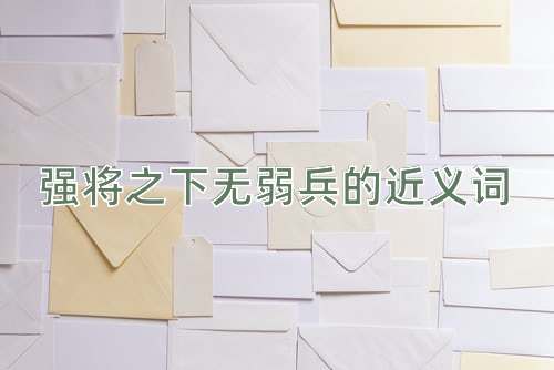 强将之下无弱兵的近义词
